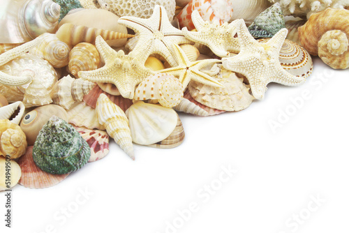 Starfishes with corals and seashells isolated on white background. Copy space for text.