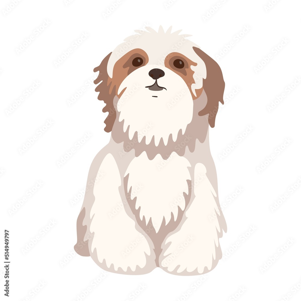 Cartoon smart dog breeds flat icon. Happy pet vector illustration. Corgi, Basenji, Dachshund, malamute, Samoyed. Mammals and animals concept Cartoon smart dog breeds flat icon. Happy pet vector illustration. Corgi, Basenji, Dachshund, malamute, Samoyed. Mammals and animals concept
