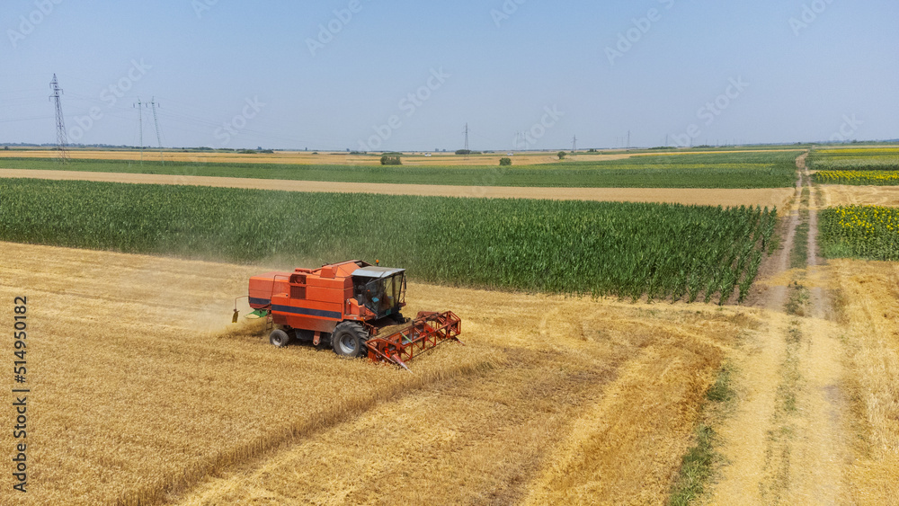Obraz premium Aerial top view of the agricultural harvester, combine as cutting and harvesting mature wheat on farm fields.