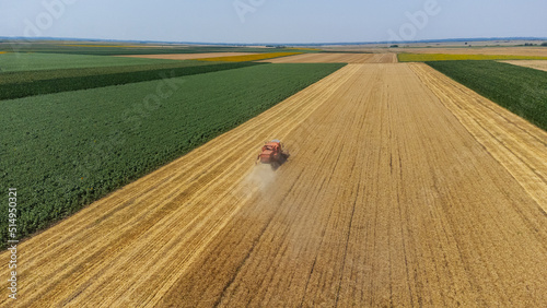 Harvesting a wheat field, dust clouds - aerial view