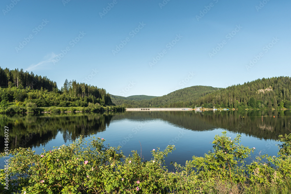Early morning at Schluchsee, view of the dam wall, Black Forest, Baden-Wuerttemberg, Germany