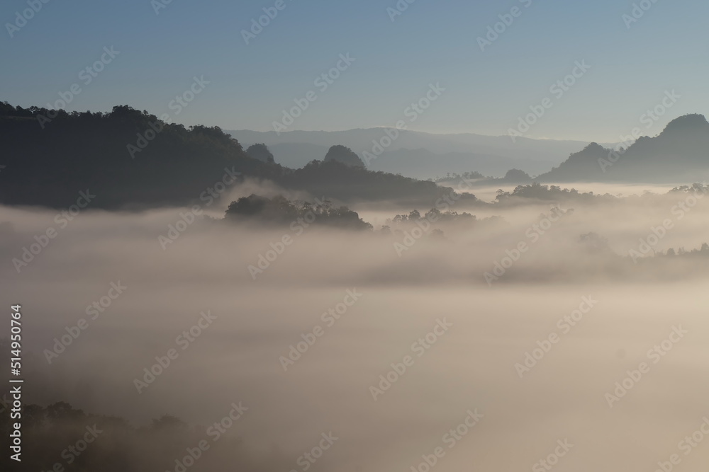 In the morning, sea of the misty mountain, blur background