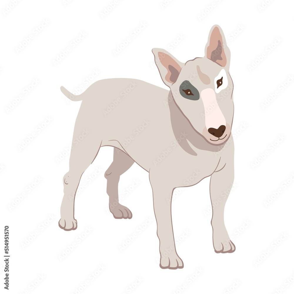 Cartoon fighting dog breeds flat icon. Happy pet vector illustration. Basenji, Dachshund, malamute, Samoyed. Mammals and animals concept