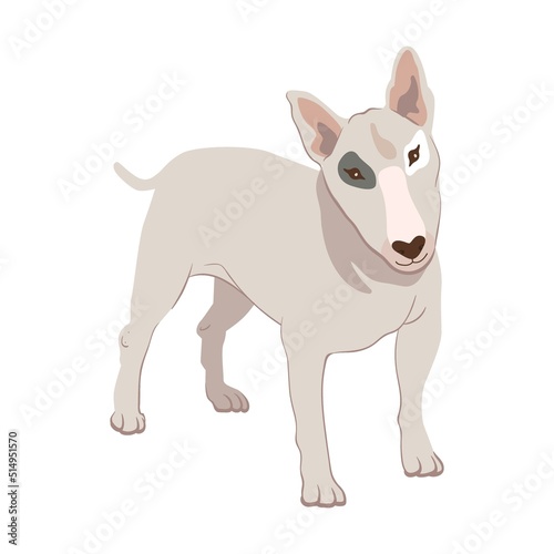 Cartoon fighting dog breeds flat icon. Happy pet vector illustration. Basenji  Dachshund  malamute  Samoyed. Mammals and animals concept