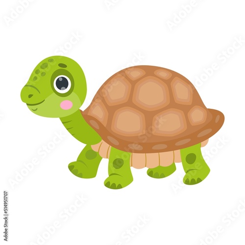 Funny strolls tortoise cartoon character. Vector illustrations for nature. Green baby turtle