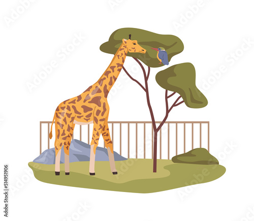 Giraffe in African zoo, natural habitat and reserve wildlife sanctuary. Exotic animals in zoological garden or menagerie. Flat cartoon, vector illustration