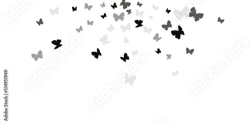 Fairy black butterflies flying vector illustration. Spring beautiful insects. Fancy butterflies flying dreamy background. Tender wings moths graphic design. Garden beings.