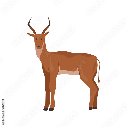 Deer or buck, isolated antelope with big antlers. African nature and fauna diversity. Horned stag herbivore creature from zoo or wildlife park. Flat cartoon, vector illustration
