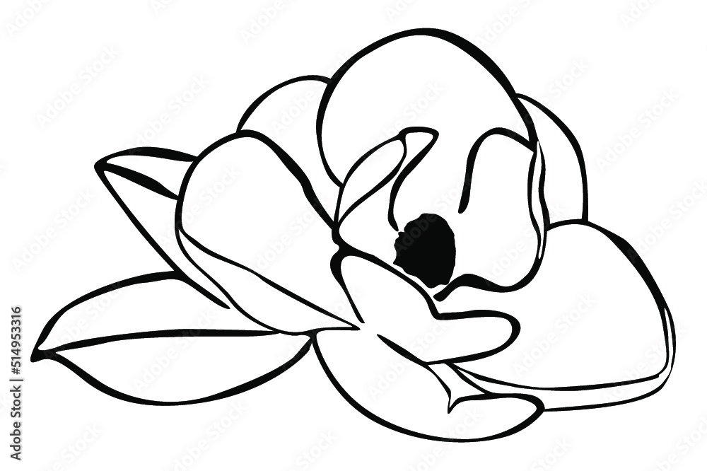 flower line art vector