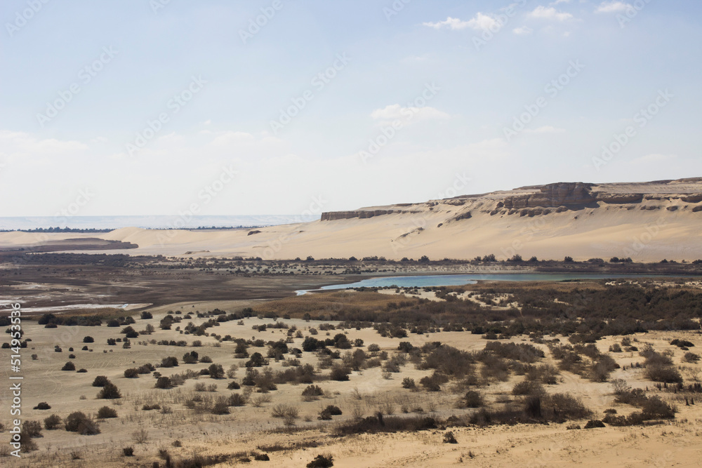 Magic lake - Desert of Fayoum Oasis - Egypt