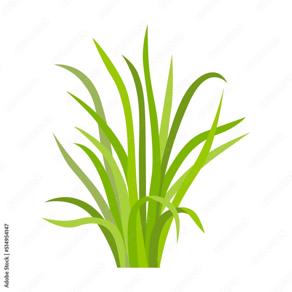 Obraz premium Green grass pattern flat icon. Leaf borders, flower elements, nature background vector illustration. Green land concept for template design