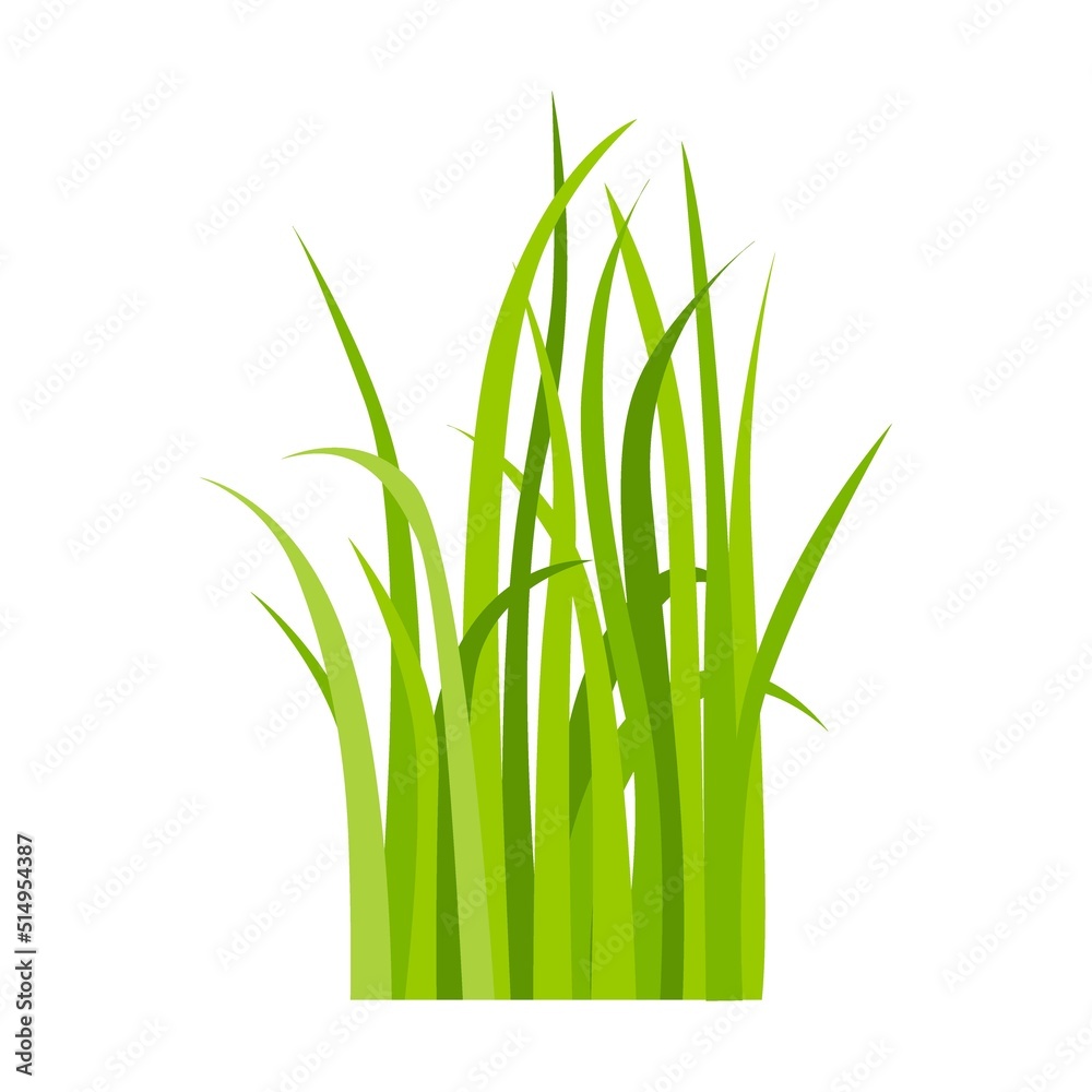 Green grass icon. Leaf borders, nature background vector illustration. Green land concept for template design Green grass icon. Leaf borders, nature background vector illustration. Green land concept for template design