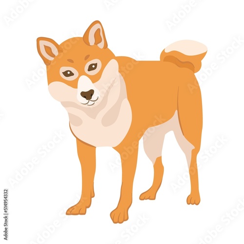 Cartoon trained dog breeds flat icon. Happy pet vector illustration. Corgi, Basenji, Dachshund, malamute, Samoyed. Mammals and animals concept