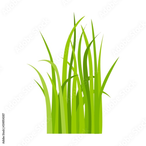 Green grass icon. Leaf borders  nature background vector illustration. Green land concept for template design