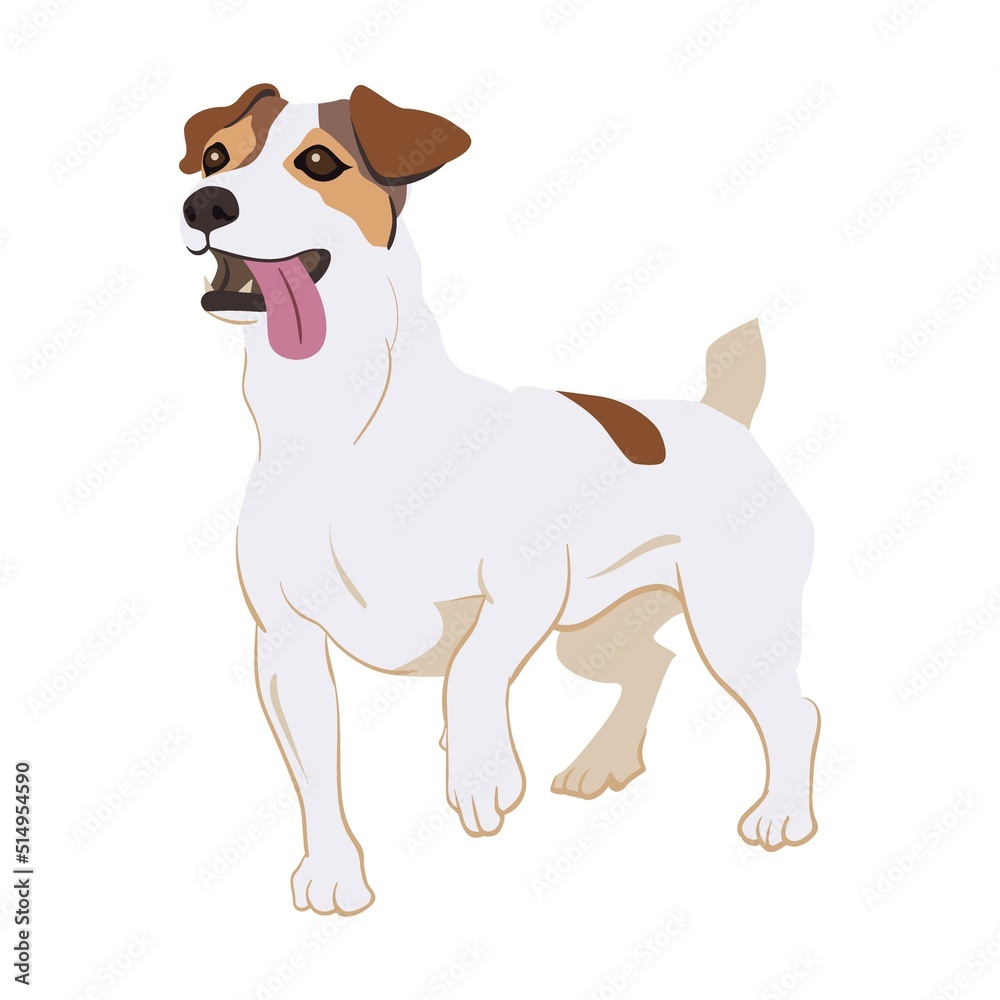 Dog breeds flat icon. Happy pet vector illustration. Corgi, Basenji, Dachshund, malamute, Samoyed. Mammals and animals concept