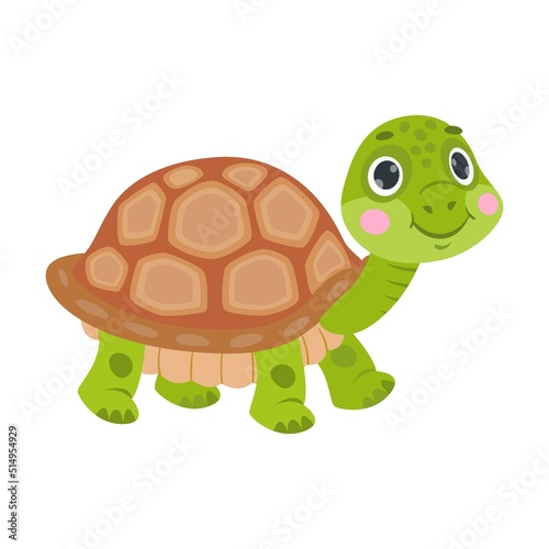 Cute funny tortoise cartoon character sleeping, dancing, swimming, hiding in shell, hatching. Vector illustrations for nature. Green baby turtle