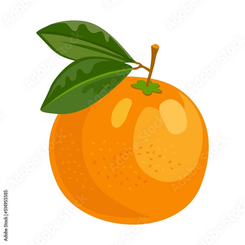 Juicy bright whole orange. Whole fruit with green leaf, half cut, slice. Vector illustration for organic product, fresh citrus, raw food diet