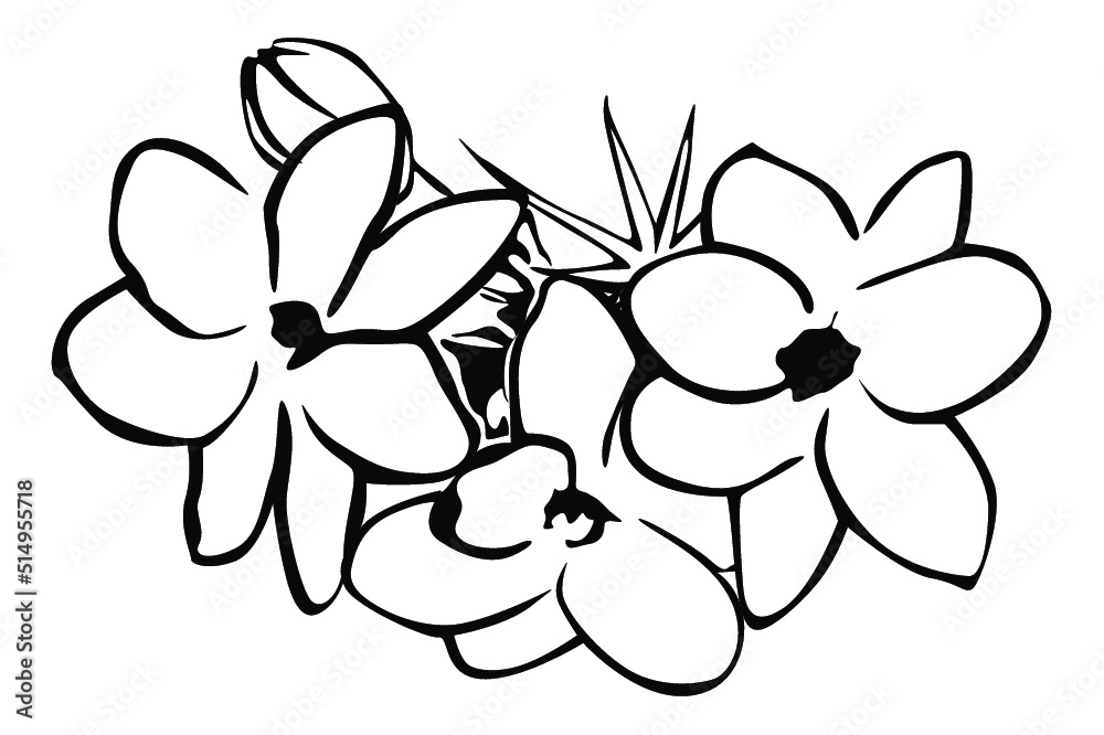 flower line art vector flower line art vector