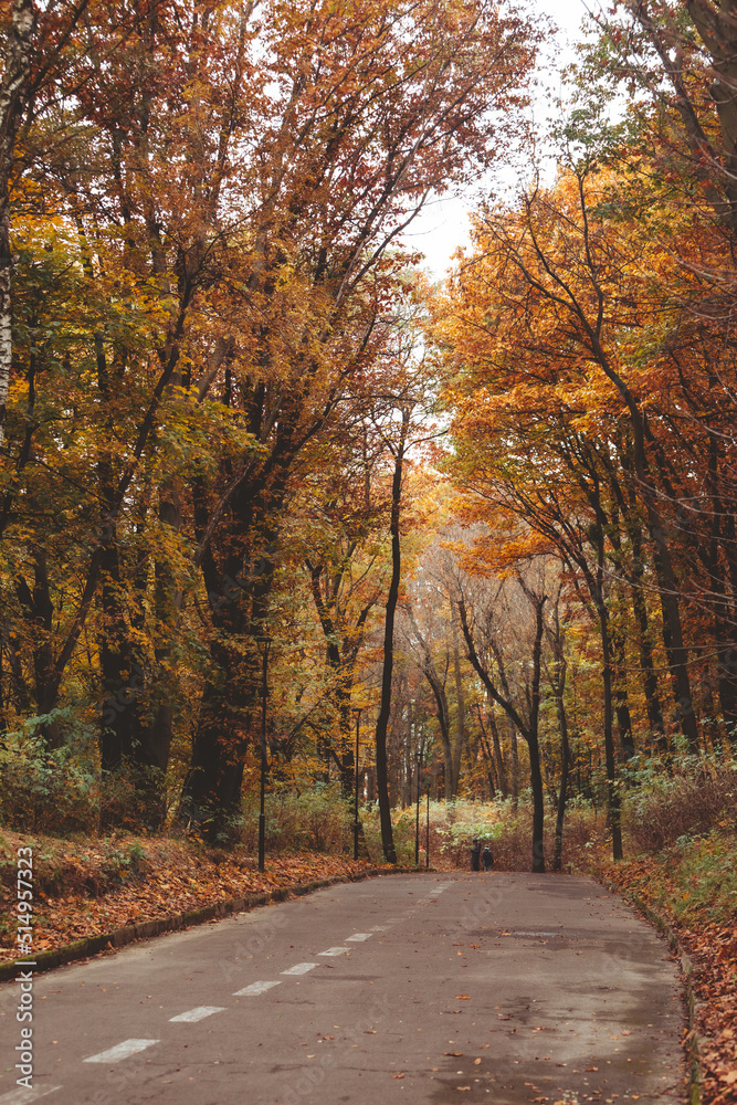 people walking outdoors by autumn city park