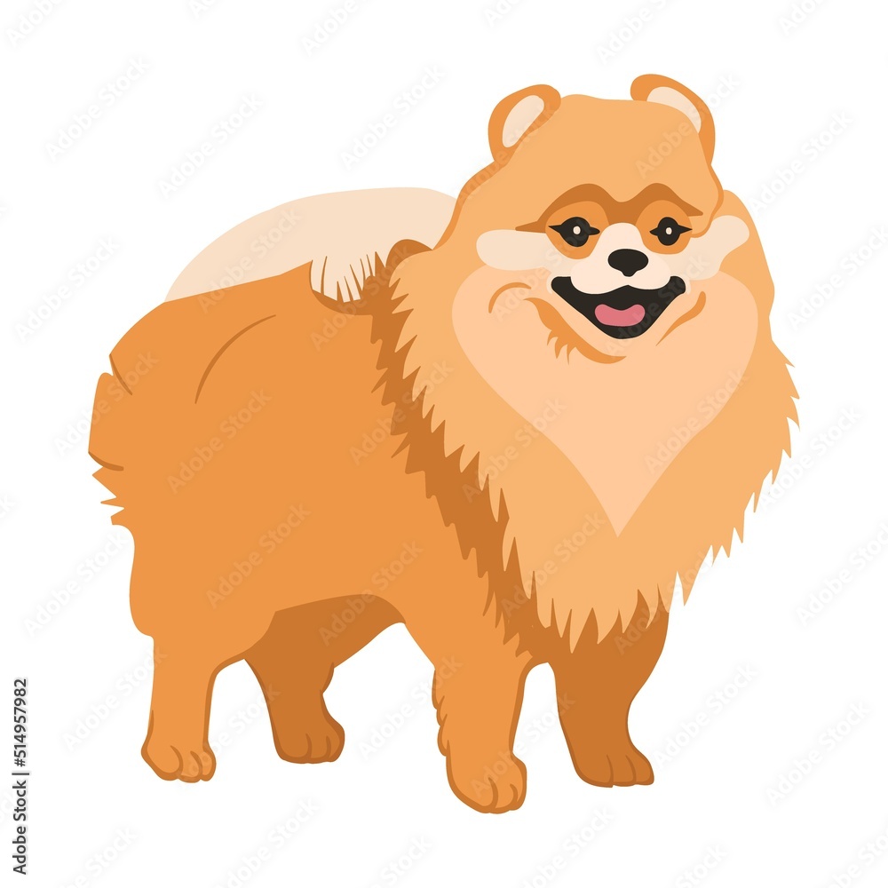 Cartoon fluffy dog breeds flat icon. Happy pet vector illustration. Corgi, Basenji, Dachshund, malamute, Samoyed. Mammals and animals concept Cartoon fluffy dog breeds flat icon. Happy pet vector illustration. Corgi, Basenji, Dachshund, malamute, Samoyed. Mammals and animals concept