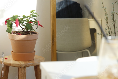 Photos 감성