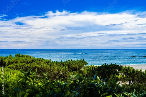 【高知県】夏の桂浜の海と青い空