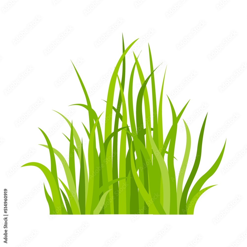 Green grass icon. Leaf borders, flower elements, nature background vector  illustration. Green land concept for template design Stock Vector | Adobe  Stock