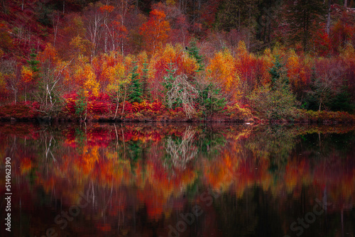 Reflection of autumn forest in lake