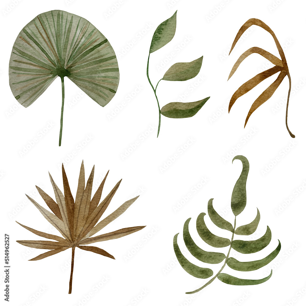 Watercolor tropical flowers, dried flowers illustration, jungle, monstera, calla, palm leaf, boho decor
