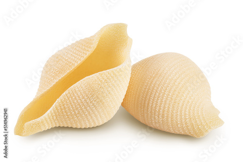 Conchiglioni italian pasta isolated on white background with full depth of field