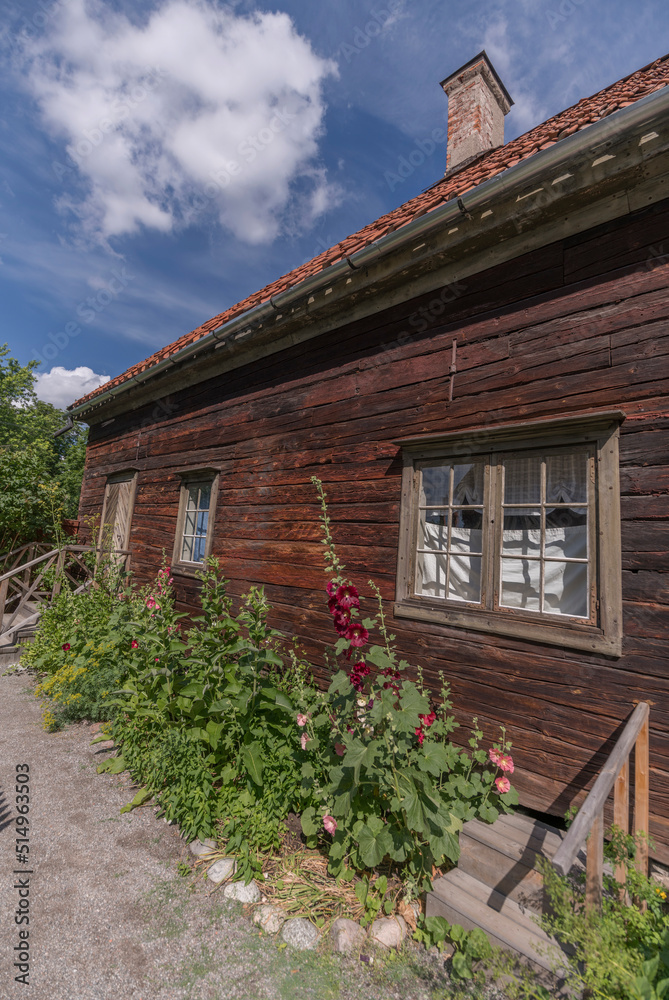 Old log house with hollyhocks in a summer flowerbed, a summer day in Stockholm