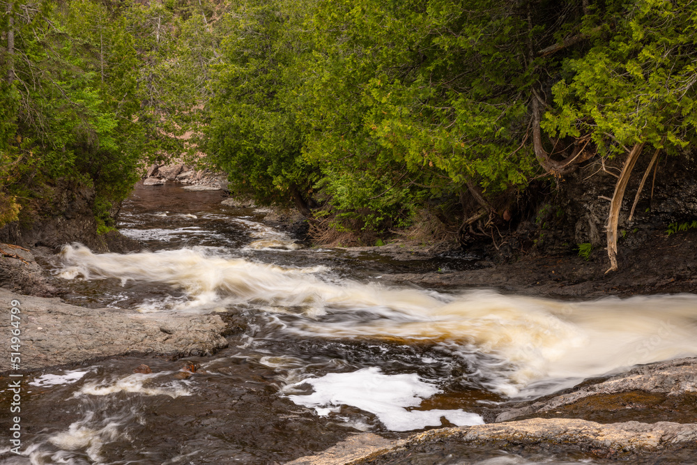 Fototapeta premium Cascade River Waterfall In The Woods