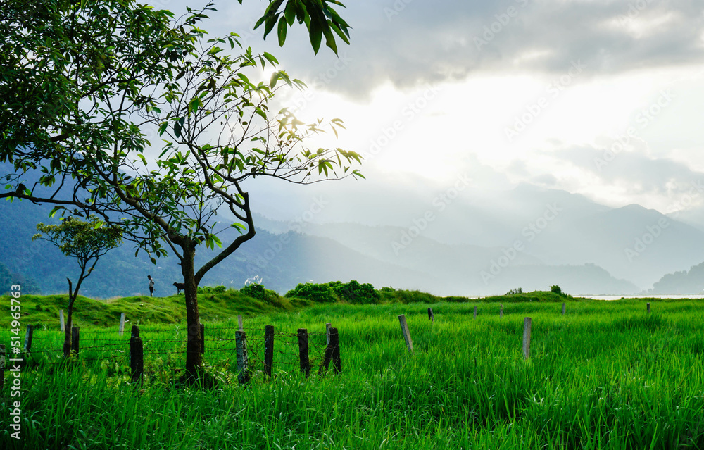 China Grass land in rural China Grass land in rural