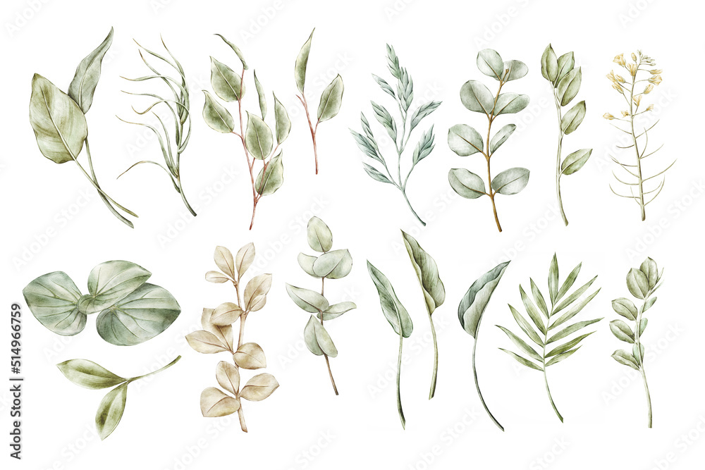 Greenery watercolor collection