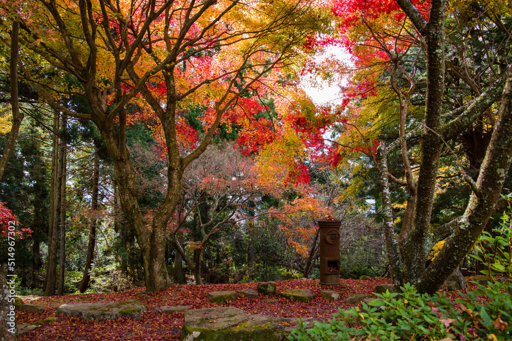 播州清水寺（兵庫県加東町）の紅葉