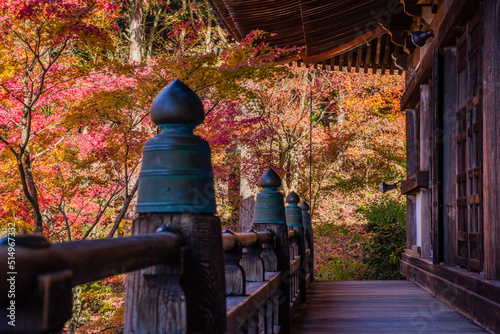 播州清水寺（兵庫県加東町）の紅葉