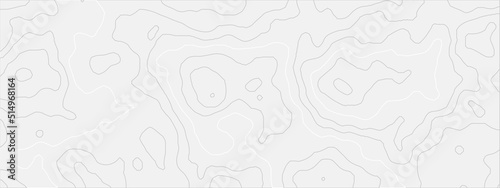 The stylized height of the topographic map in contour, lines. Torn paper edges for background. Ripped paper texture on transparent background. Paper art abstract gray and white water waves.