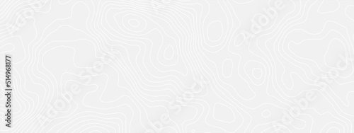 White wave paper curved reliefs abstract background, Abstract topographic contours map, Topographic background and texture, monochrome. White wave paper curved reliefs abstract background.