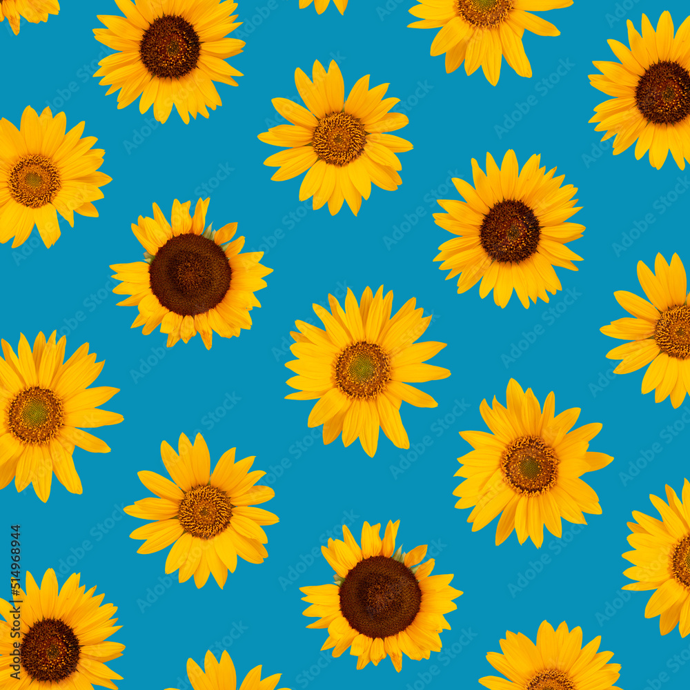 Sunflower pattern on the blue bacground. Summer concept Sunflower pattern on the blue bacground. Summer concept