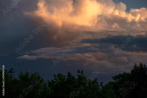 Clouds at sunset over the trees © Dima Aslanian