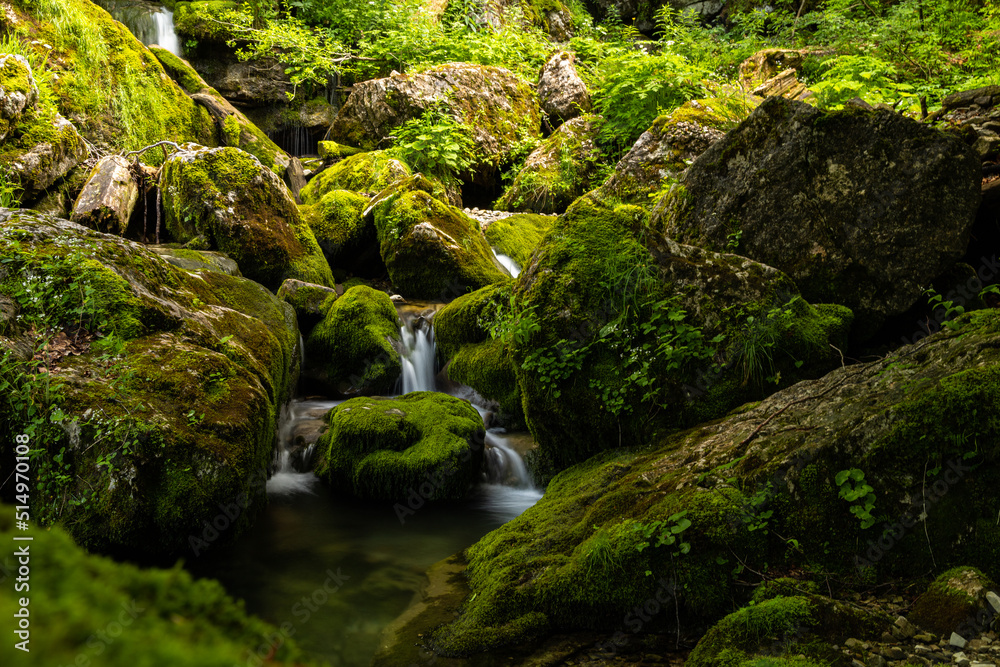 small creek in the alps near Hintersee in Austria small creek in the alps near Hintersee in Austria