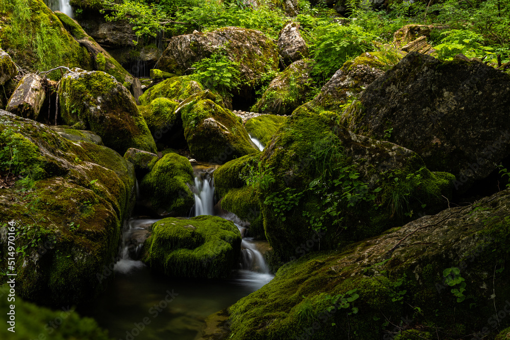 small creek in the alps near Hintersee in Austria small creek in the alps near Hintersee in Austria