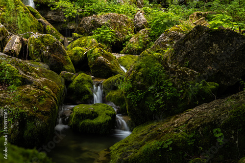 small creek in the alps near Hintersee in Austria