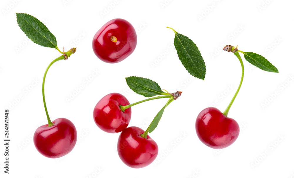 Cherry isolated on white background. Red ripe berry of sweet cherry. Clipping path. Top view. Cherry isolated on white background. Red ripe berry of sweet cherry. Clipping path. Top view.
