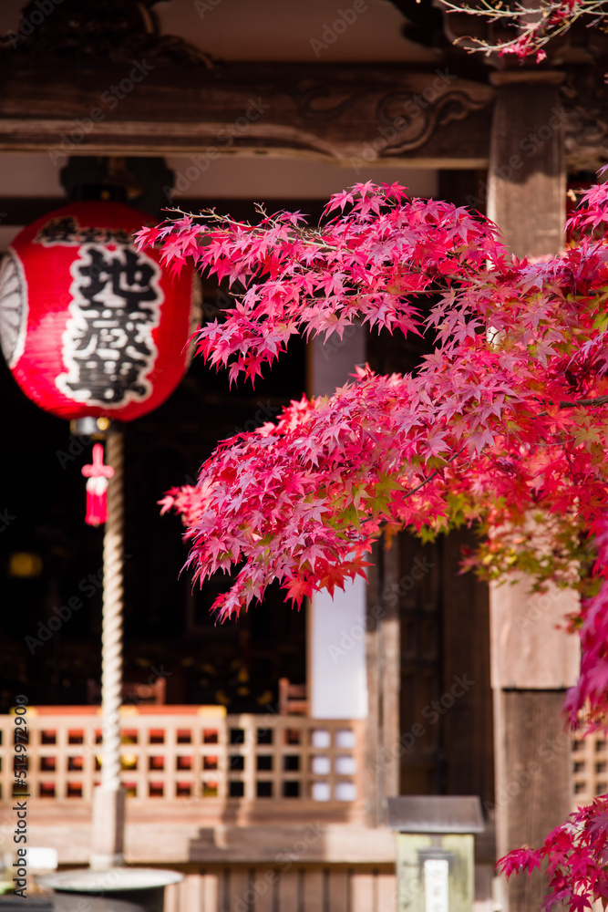京都一乗院エリアの紅葉