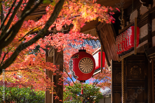 京都一乗院エリアの紅葉