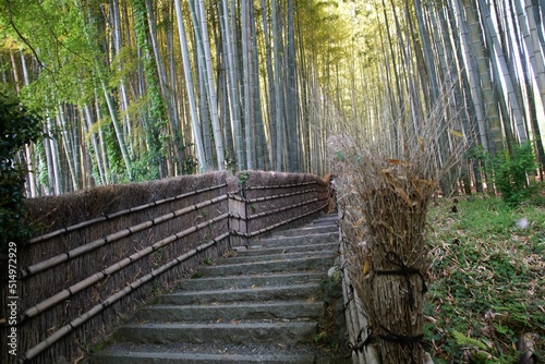 化野念仏寺の竹の小径