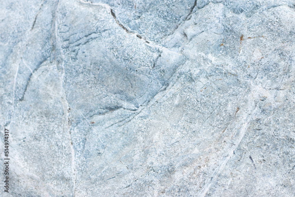 Obraz premium Garden center. Gardening, shop. Landscape design. Stones.