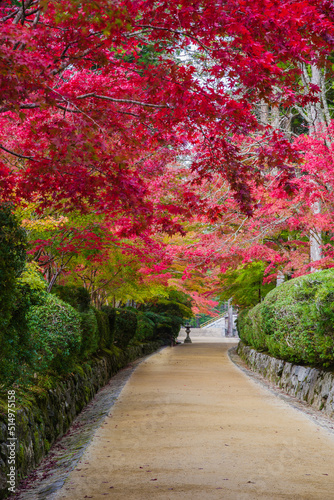 高野山（和歌山県高野町）の紅葉