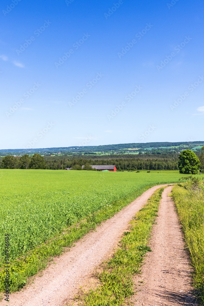 Gravel road in by a field in a rural landscape view